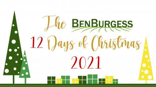 12 days of christmas