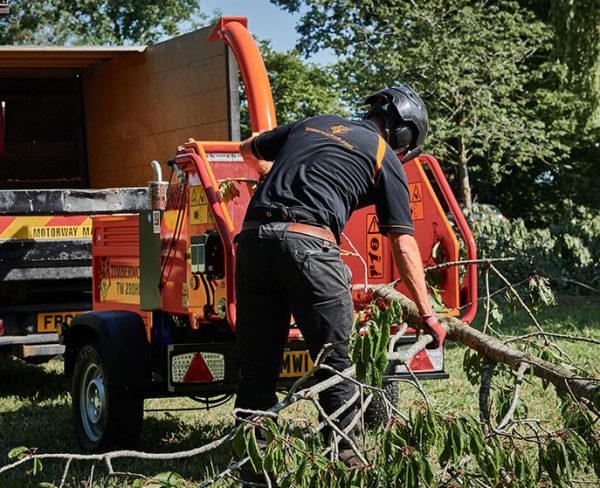 Timberwolf TW 230HB Diesel - Stage V Compliant - Image 3
