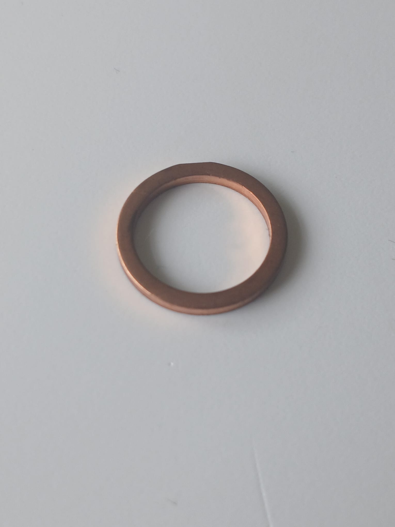 Laski Predator SEALING RING CU 13/17/ 002973