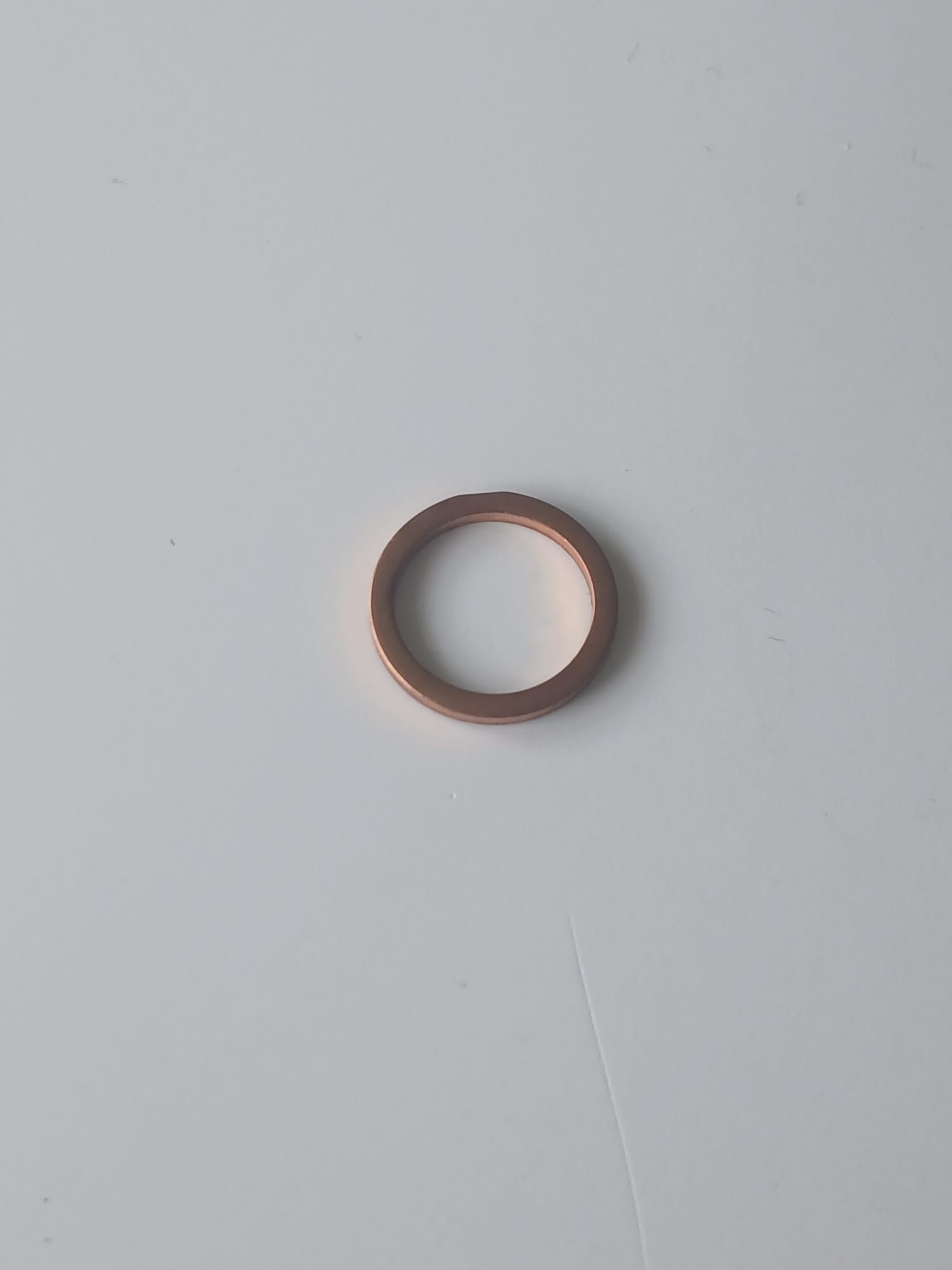 Laski Predator SEALING RING CU 13/17/ 002973 - Image 2