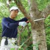 Pruning Saw Tsurugi 300-8 - Image 9