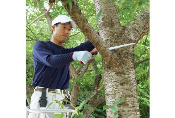 Pruning Saw Tsurugi 300-8 - Image 9