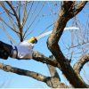Pruning Saw Tsurugi Curve 330-10 - Image 7