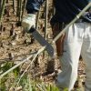 Billhook Yoki 270 - Image 3