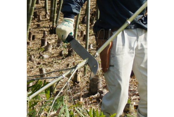 Billhook Yoki 270 - Image 3