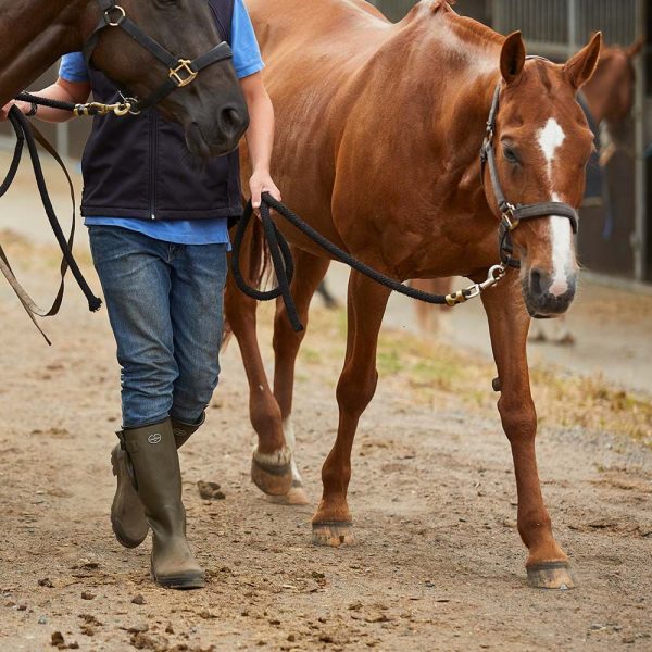 Le Chameau wellingtons