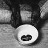 Le Chameau Dog Bowl - Gris Ardoise - Image 5