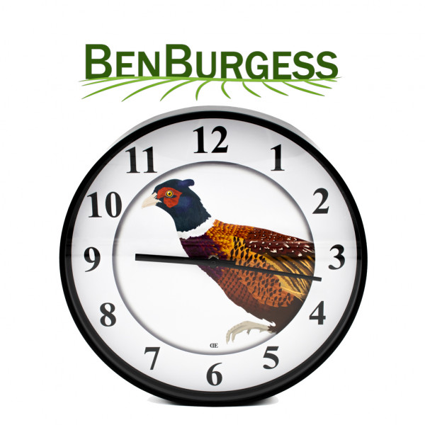 Pheasant Clock