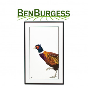 Framed Pheasant Painting