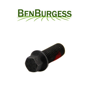 Manitou Bolt 109752