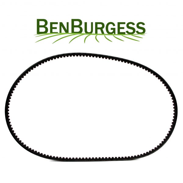 Predator V-BELT