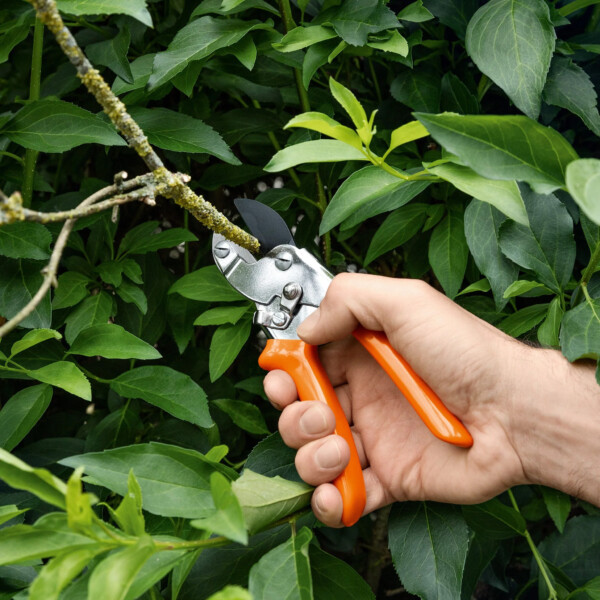 STIHL PG 25 Anvil Secateurs