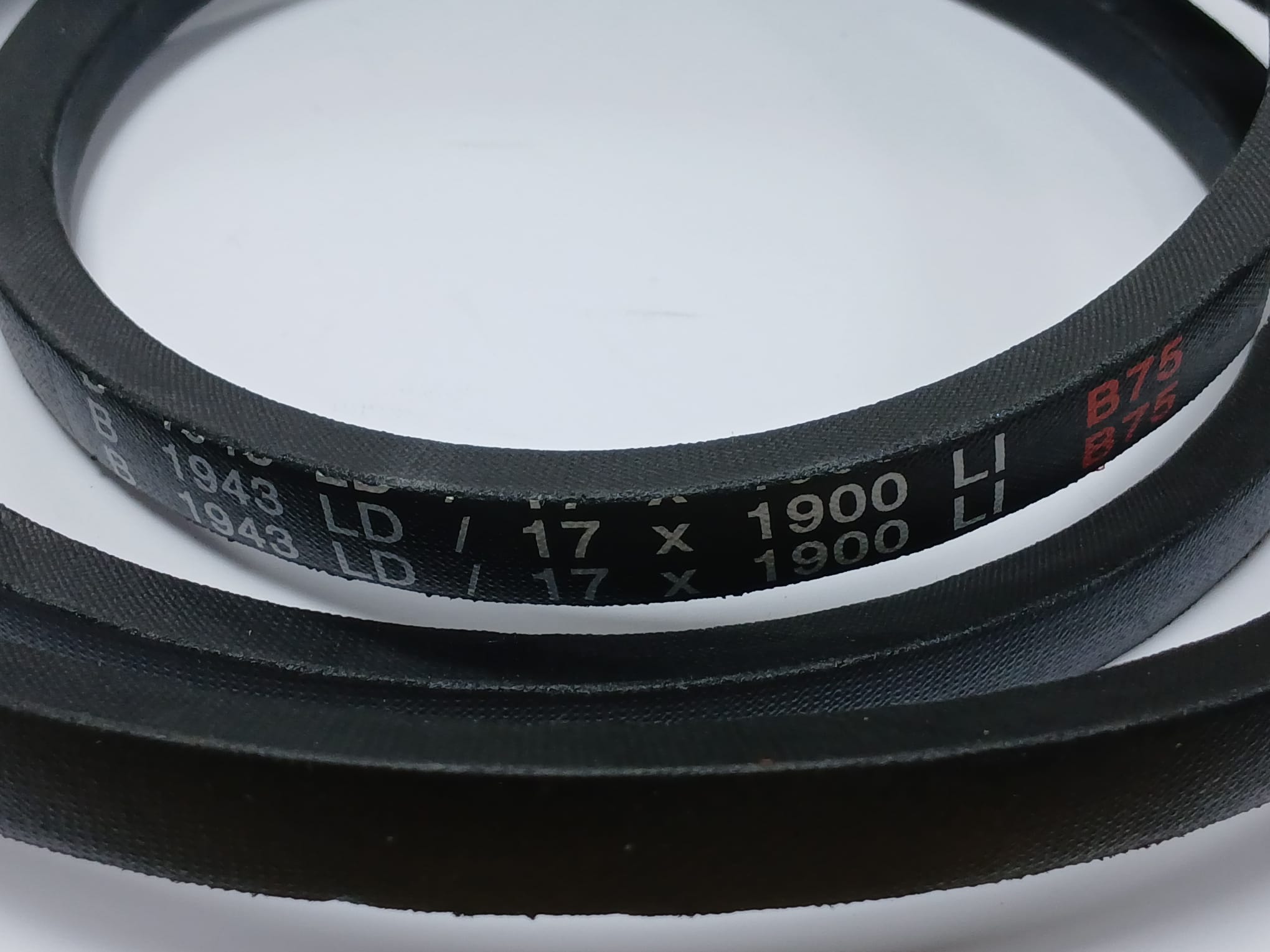 Laski Predator Power V-BELT B75 000119 - Image 2