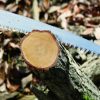 Pruning Saw Bigboy 2000 360-6.5 - Image 4